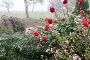 Impressionen
