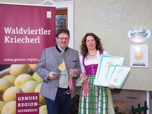Auszeichnungen und Preise