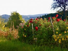 Blumen